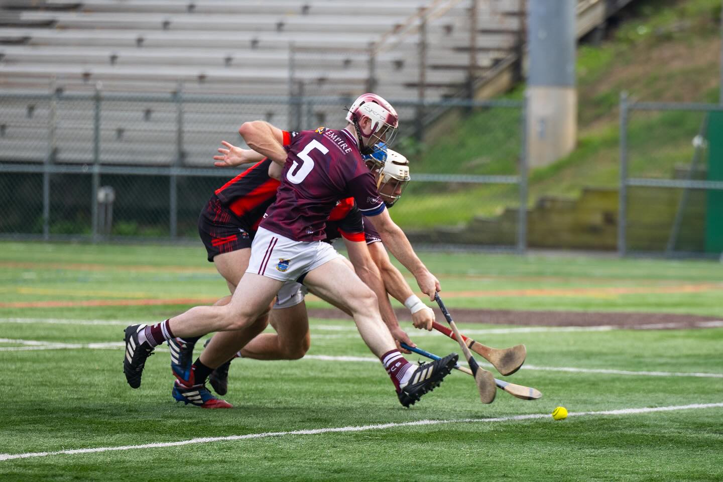 Hurling / Camogie